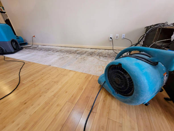 Professional Water Extraction technician working in Ozone Park, NY